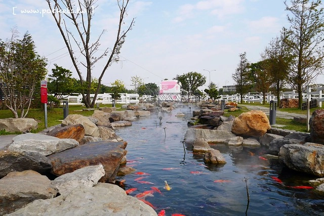 雲林崙背｜千巧谷牛樂園牧場：結合沙坑、餵魚、美食、牧場，適合親子旅遊的地點 @飛天璇的口袋
