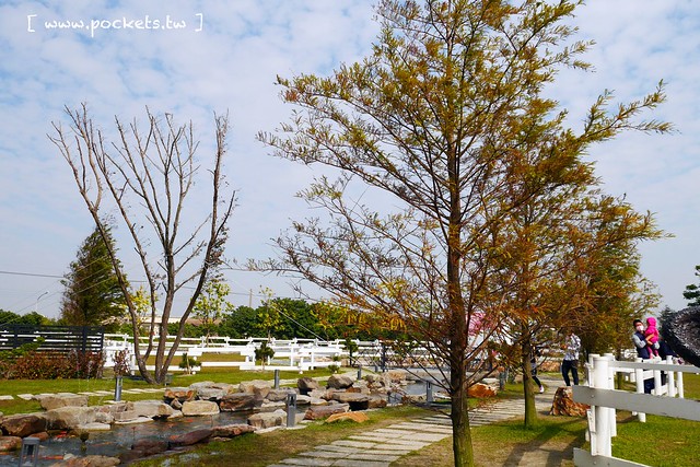 雲林崙背｜千巧谷牛樂園牧場：結合沙坑、餵魚、美食、牧場，適合親子旅遊的地點 @飛天璇的口袋