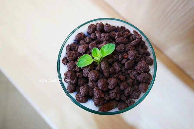 喫茶小舖┃台中北區美食：文青風新產品”哞”4月下旬全省門市同步販售，結合小農牧場契作鳳西紅鮮乳，超復古的”火金姑來喫茶”杯杯也將推出 @飛天璇的口袋