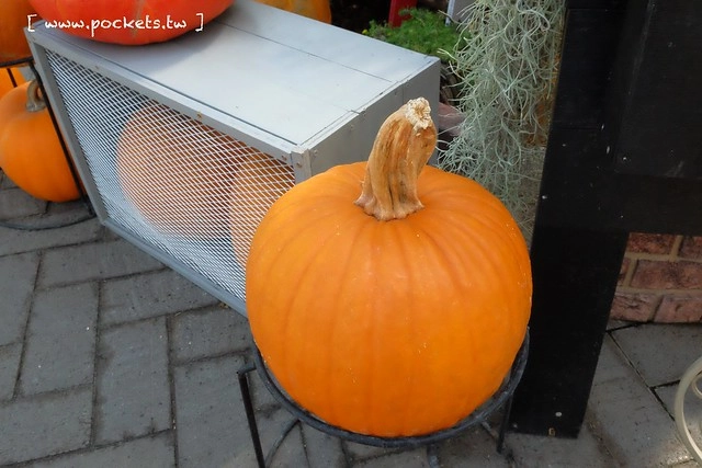 【日本三重】名花之里．なばなの里~日本冬季最大燈海，冬季百萬點燈活動(附從榮町到長島溫泉outlet的交通方式) @飛天璇的口袋