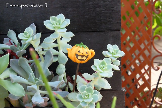 【日本三重】名花之里．なばなの里~日本冬季最大燈海，冬季百萬點燈活動(附從榮町到長島溫泉outlet的交通方式) @飛天璇的口袋