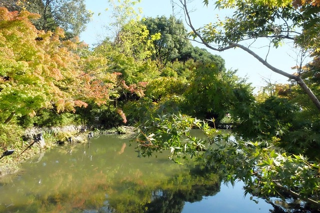 【日本三重】名花之里．なばなの里~日本冬季最大燈海，冬季百萬點燈活動(附從榮町到長島溫泉outlet的交通方式) @飛天璇的口袋