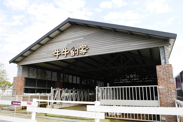 雲林崙背｜千巧谷牛樂園牧場：結合沙坑、餵魚、美食、牧場，適合親子旅遊的地點 @飛天璇的口袋