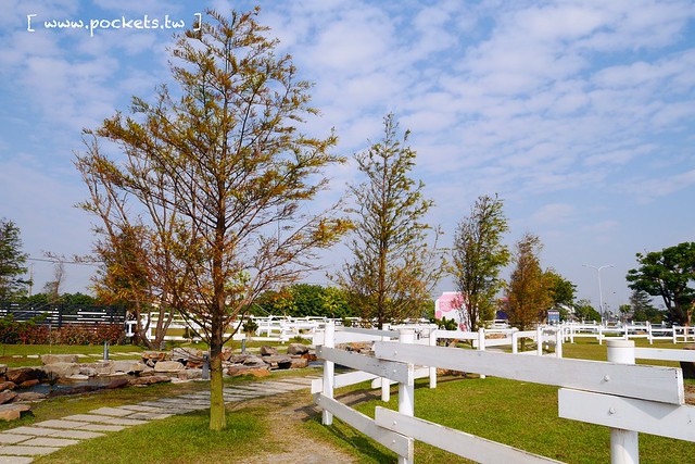 雲林崙背｜千巧谷牛樂園牧場：結合沙坑、餵魚、美食、牧場，適合親子旅遊的地點 @飛天璇的口袋