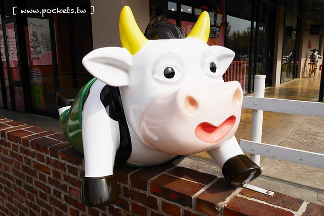 雲林崙背｜千巧谷牛樂園牧場：結合沙坑、餵魚、美食、牧場，適合親子旅遊的地點 @飛天璇的口袋