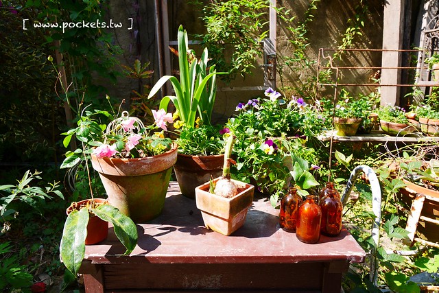 Yokoneco松鼠食堂．リスの食堂┃台中西區美食：只接受FB預約的隱密餐廳，結合花藝和美食，餐點走的是家常味 @飛天璇的口袋