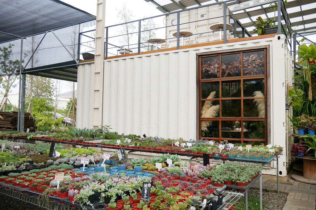 綠果庭院｜田尾多肉植物控的天堂，彰化田尾IG熱門打卡景點 @飛天璇的口袋