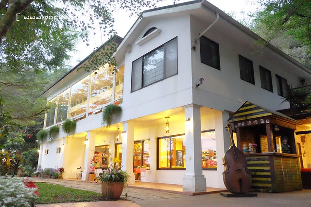 台中新社｜桃李河畔．新社著名景觀餐廳，浪漫森林玻璃屋 @飛天璇的口袋