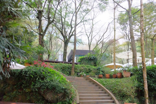 台中新社｜桃李河畔．新社著名景觀餐廳，浪漫森林玻璃屋 @飛天璇的口袋