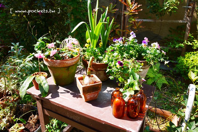 Yokoneco松鼠食堂．リスの食堂┃台中西區美食：只接受FB預約的隱密餐廳，結合花藝和美食，餐點走的是家常味 @飛天璇的口袋