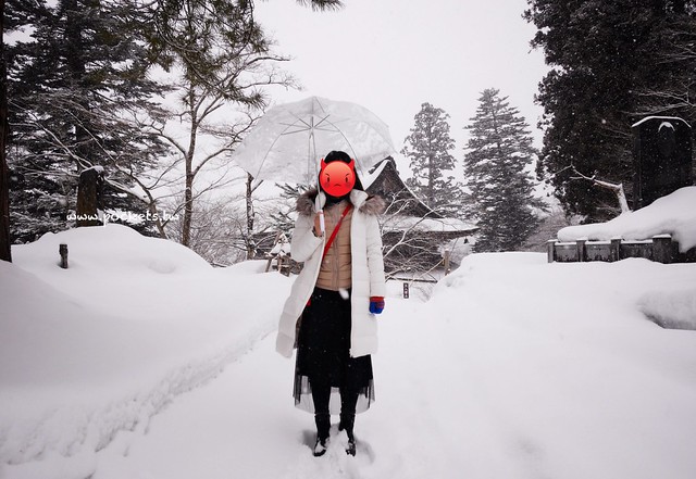 圓藏寺┃福島旅遊景點：赤牛的發源地，日本的三大虚空藏尊之一，摸紅牛許願就會成真哦！ @飛天璇的口袋
