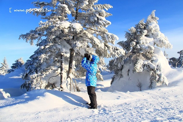 南會津樹冰＆霧冰山頂之旅┃福島旅遊景點：奧會津搭乘雪車賞樹冰、晨霧和初曉，零下十度令人嘆為觀止的美景 @飛天璇的口袋