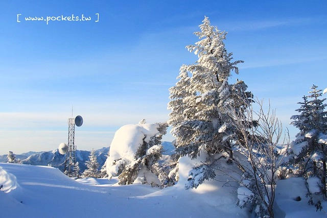 南會津樹冰＆霧冰山頂之旅┃福島旅遊景點：奧會津搭乘雪車賞樹冰、晨霧和初曉，零下十度令人嘆為觀止的美景 @飛天璇的口袋