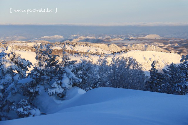 南會津樹冰＆霧冰山頂之旅┃福島旅遊景點：奧會津搭乘雪車賞樹冰、晨霧和初曉，零下十度令人嘆為觀止的美景 @飛天璇的口袋