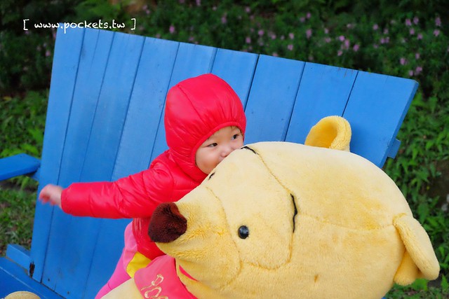 台中新社｜桃李河畔．新社著名景觀餐廳，浪漫森林玻璃屋 @飛天璇的口袋