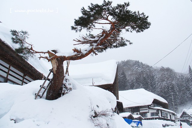 福島前澤曲家集落：南會津町傳統建築物保存地區，不被世界遺忘的絕美秘境 @飛天璇的口袋