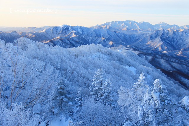 南會津樹冰＆霧冰山頂之旅┃福島旅遊景點：奧會津搭乘雪車賞樹冰、晨霧和初曉，零下十度令人嘆為觀止的美景 @飛天璇的口袋