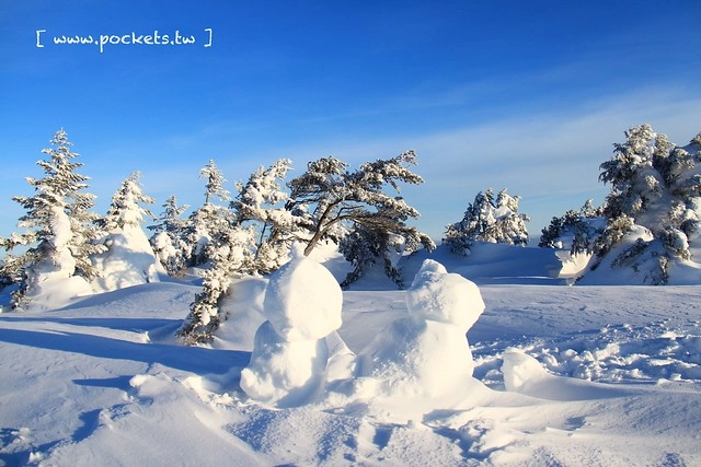 南會津樹冰＆霧冰山頂之旅┃福島旅遊景點：奧會津搭乘雪車賞樹冰、晨霧和初曉，零下十度令人嘆為觀止的美景 @飛天璇的口袋