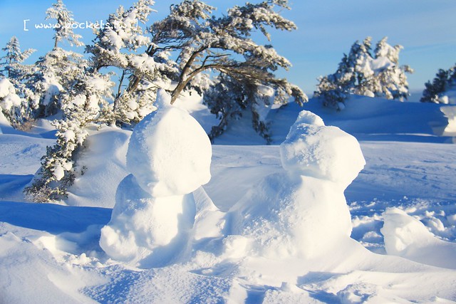 南會津樹冰＆霧冰山頂之旅┃福島旅遊景點：奧會津搭乘雪車賞樹冰、晨霧和初曉，零下十度令人嘆為觀止的美景 @飛天璇的口袋