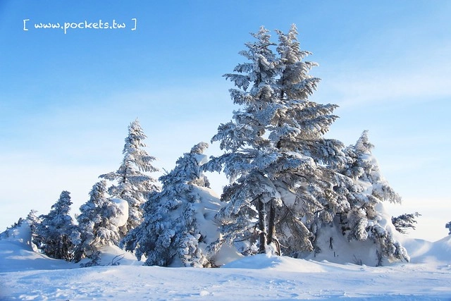 南會津樹冰＆霧冰山頂之旅┃福島旅遊景點：奧會津搭乘雪車賞樹冰、晨霧和初曉，零下十度令人嘆為觀止的美景 @飛天璇的口袋