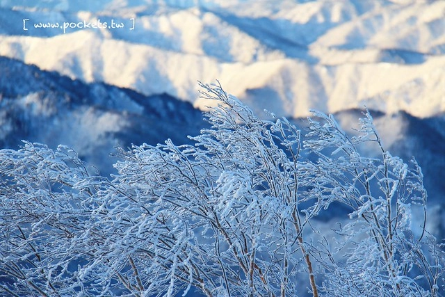 南會津樹冰＆霧冰山頂之旅┃福島旅遊景點：奧會津搭乘雪車賞樹冰、晨霧和初曉，零下十度令人嘆為觀止的美景 @飛天璇的口袋