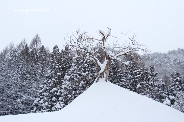 福島前澤曲家集落：南會津町傳統建築物保存地區，不被世界遺忘的絕美秘境 @飛天璇的口袋
