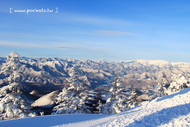 南會津樹冰＆霧冰山頂之旅┃福島旅遊景點：奧會津搭乘雪車賞樹冰、晨霧和初曉，零下十度令人嘆為觀止的美景 @飛天璇的口袋