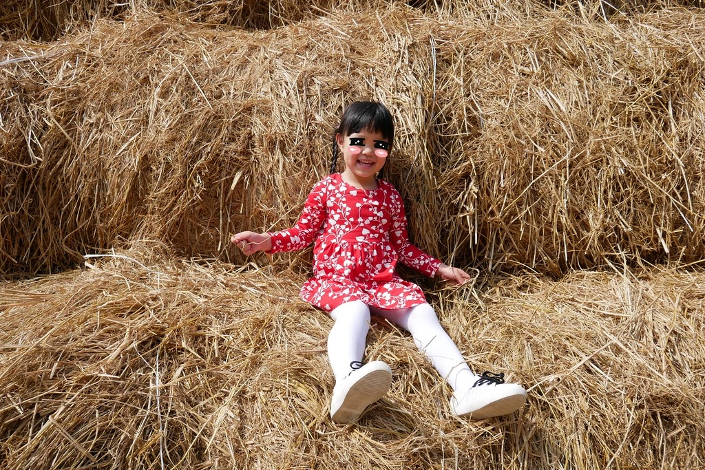 稻草捲心酥：草地上巨型咖啡捲心酥，IG打卡熱門景點，嘉義新港就有哦！ @飛天璇的口袋