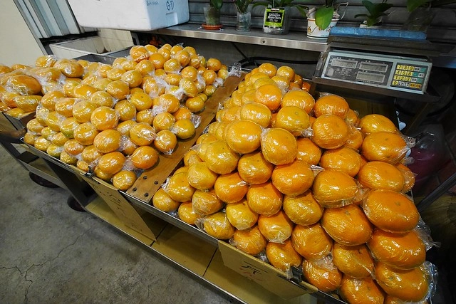 台中豐原｜三豐食補碳燒薑母鴨．豐原超人氣薑母鴨店，湯頭鮮甜價格實在 @飛天璇的口袋