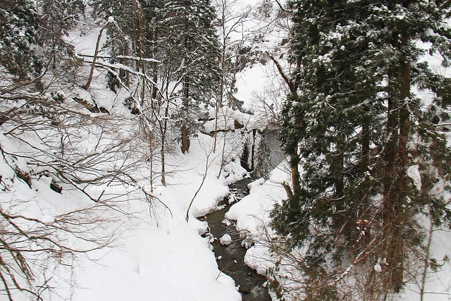 会津柳津&rarr;会津川口(JR只見線)┃福島旅遊景點：奧會津必訪旅遊景點推薦，搭火車欣賞冬季絕美只見線沿途風光 @飛天璇的口袋