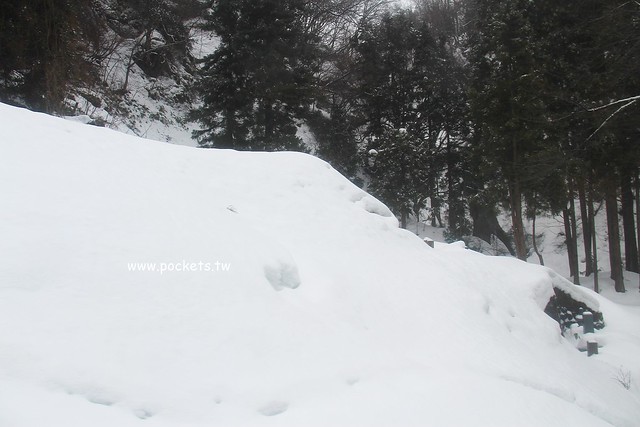 会津柳津&rarr;会津川口(JR只見線)┃福島旅遊景點：奧會津必訪旅遊景點推薦，搭火車欣賞冬季絕美只見線沿途風光 @飛天璇的口袋