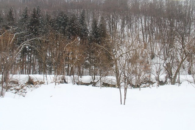会津柳津&rarr;会津川口(JR只見線)┃福島旅遊景點：奧會津必訪旅遊景點推薦，搭火車欣賞冬季絕美只見線沿途風光 @飛天璇的口袋