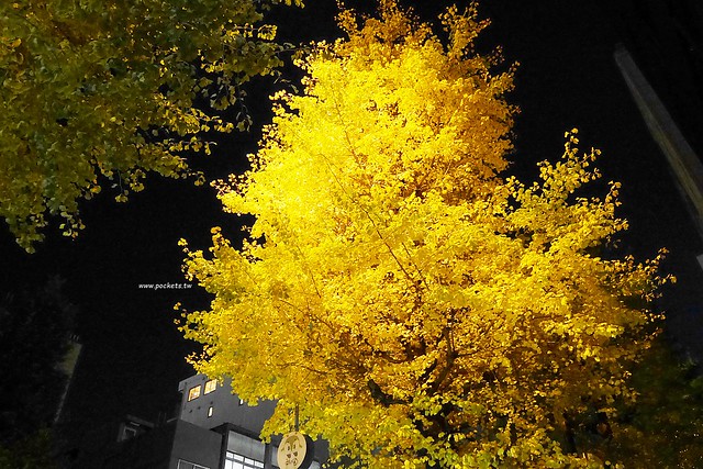 【日本東京】一蘭拉麵淺草店~一蘭屋台拉麵2015年開幕，東京銀座線在浅草駅8號出口旁，東橫inn淺草雷門步行10分鐘 @飛天璇的口袋