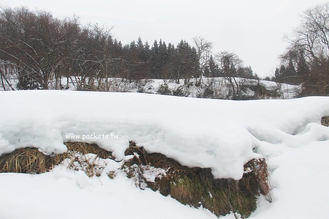 会津柳津&rarr;会津川口(JR只見線)┃福島旅遊景點：奧會津必訪旅遊景點推薦，搭火車欣賞冬季絕美只見線沿途風光 @飛天璇的口袋