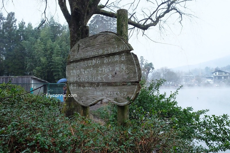 日本大分｜由布院一日遊，日本女性票選為最愛的夢幻度假勝地，寧靜美麗的溫泉小鎮森湯之平街道散策 @飛天璇的口袋