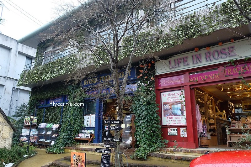 日本大分｜由布院一日遊，日本女性票選為最愛的夢幻度假勝地，寧靜美麗的溫泉小鎮森湯之平街道散策 @飛天璇的口袋