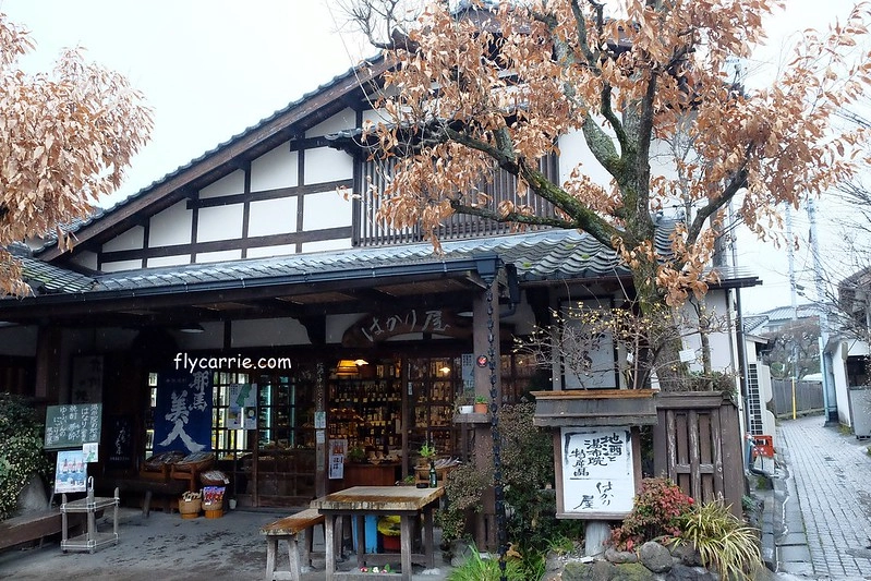 日本大分｜由布院一日遊，日本女性票選為最愛的夢幻度假勝地，寧靜美麗的溫泉小鎮森湯之平街道散策 @飛天璇的口袋