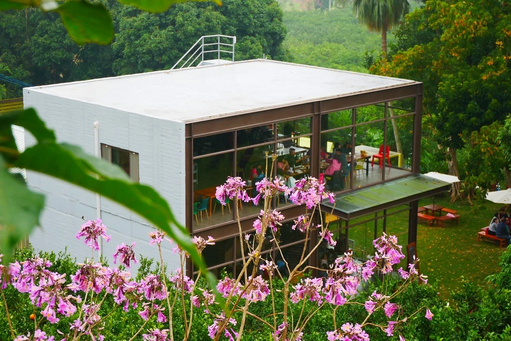 苗栗頭屋｜橙香森林．森林裡面的浪漫玻璃屋，有大片草原和橙香隧道 @飛天璇的口袋