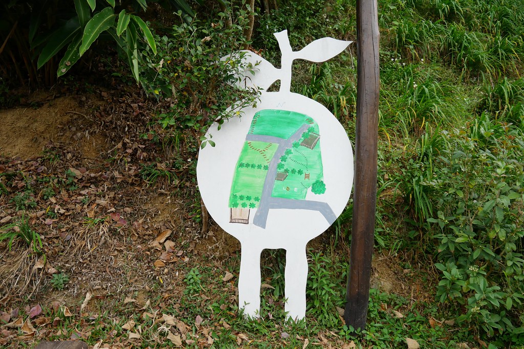 苗栗頭屋｜橙香森林．森林裡面的浪漫玻璃屋，有大片草原和橙香隧道 @飛天璇的口袋