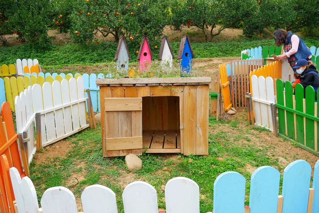 苗栗頭屋｜橙香森林．森林裡面的浪漫玻璃屋，有大片草原和橙香隧道 @飛天璇的口袋