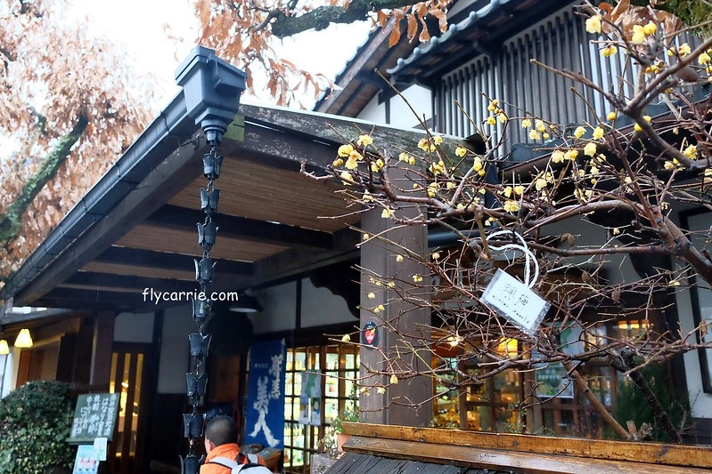 日本大分｜由布院一日遊，日本女性票選為最愛的夢幻度假勝地，寧靜美麗的溫泉小鎮森湯之平街道散策 @飛天璇的口袋