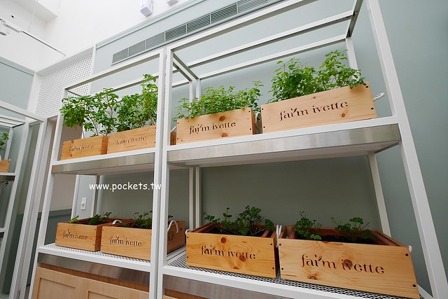 台中西屯｜Ivette cafe，座落於秋紅谷公園旁的貴婦級早午餐店，Tiffany藍的裝潢環境明亮 @飛天璇的口袋