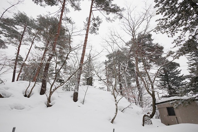 圓藏寺┃福島旅遊景點：赤牛的發源地，日本的三大虚空藏尊之一，摸紅牛許願就會成真哦！ @飛天璇的口袋