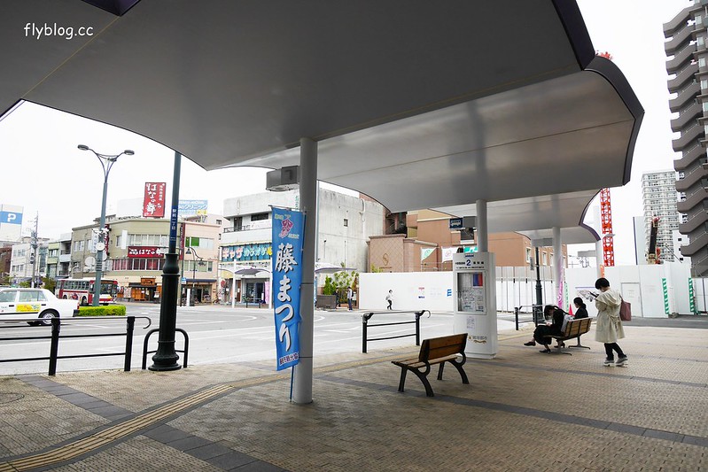 【日本靜岡】藤枝蓮華寺池公園~以花、水、鳥為主題的自然公園，有櫻花、荷花、杜鵑和紫藤花&hellip;等不同花卉，分享4/26紫藤花的最新花況 @飛天璇的口袋