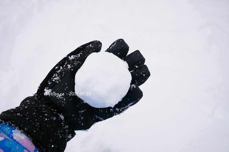 Fairy Land金山滑雪場┃福島旅遊景點：搭乘雪地纜車體驗，還有初階版的雪上甜甜圈、雪鞦和雪盆&hellip;等，冬季到奧會津就是要滑雪 @飛天璇的口袋