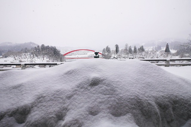圓藏寺┃福島旅遊景點：赤牛的發源地，日本的三大虚空藏尊之一，摸紅牛許願就會成真哦！ @飛天璇的口袋