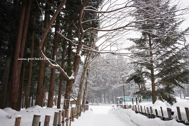 圓藏寺┃福島旅遊景點：赤牛的發源地，日本的三大虚空藏尊之一，摸紅牛許願就會成真哦！ @飛天璇的口袋