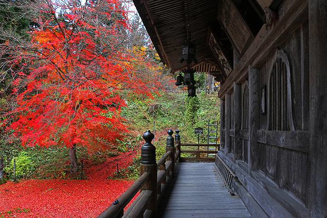 圓藏寺┃福島旅遊景點：赤牛的發源地，日本的三大虚空藏尊之一，摸紅牛許願就會成真哦！ @飛天璇的口袋
