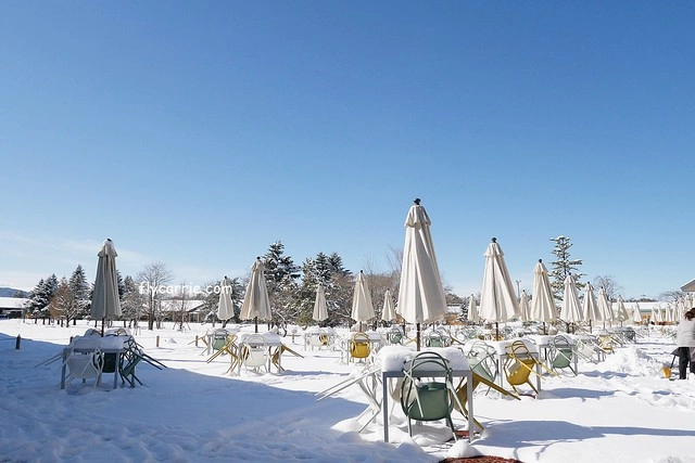 【日本長野】輕井澤~遇見東京第一場初雪，冬季絕美輕井澤一日遊，輕井澤王子Outlet好買好逛好吃，附東京到輕井澤交通方式&JR PASS券 @飛天璇的口袋