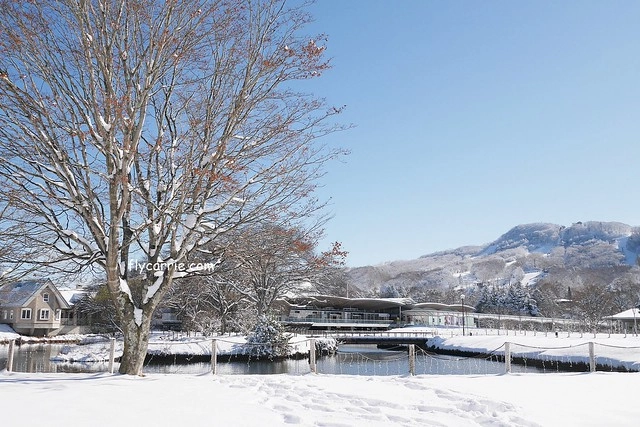 【日本長野】輕井澤~遇見東京第一場初雪，冬季絕美輕井澤一日遊，輕井澤王子Outlet好買好逛好吃，附東京到輕井澤交通方式&JR PASS券 @飛天璇的口袋